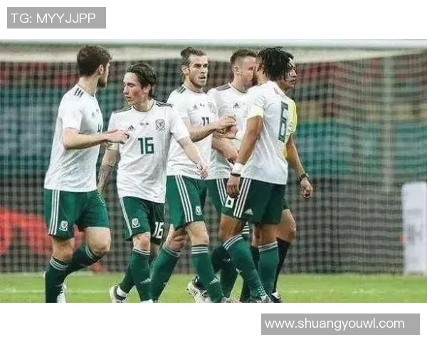 威尔士足球天才托马斯崛起之路从小镇到国际赛场的辉煌历程 威尔士足球天才托马斯崛起之路从小镇到国际赛场的辉煌历程